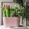 Aflang potte i beton look - Rosa