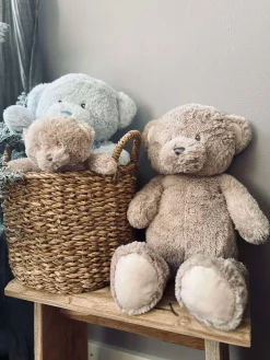 Bamse 22cm - Brown