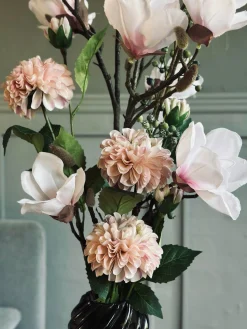 Blomst Dahlia