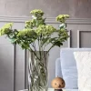Blomsterstilk - Lime