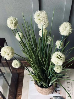 Blomst i potte
