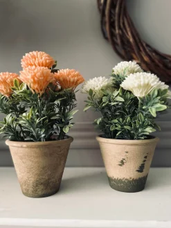 Blomst i rustik potte - Coral