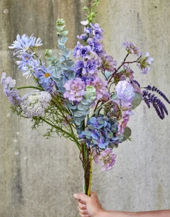Blomst nellike