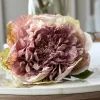 Blomst Pæon - Antik Cream / rosa