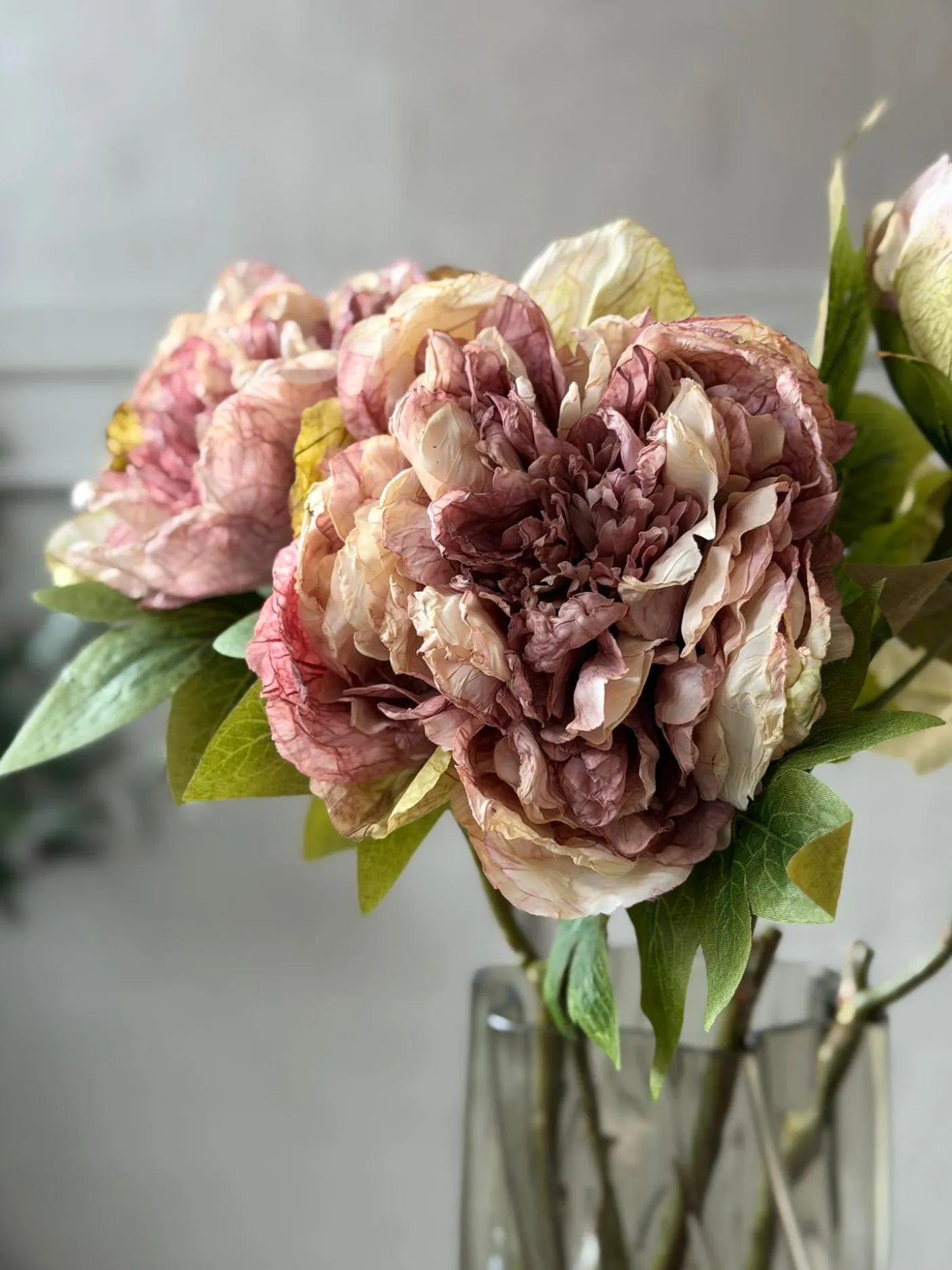 Blomst Pæon - Antik Cream / rosa