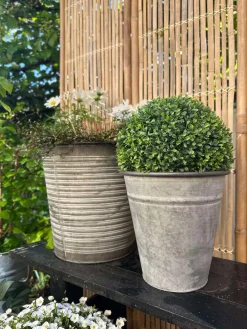 Buksbom kugle 30cm