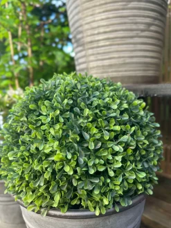 Buksbom kugle 30cm