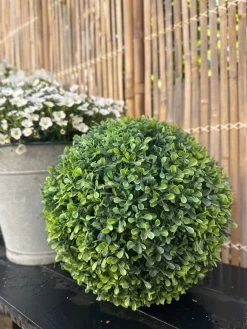 Buksbom kugle 30cm