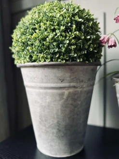 Buksbom kugle 30cm