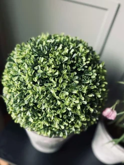 Buksbom kugle 30cm