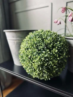 Buksbom kugle 30cm