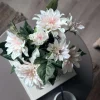 Dahlia i potte - Hvid