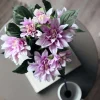 Dahlia i potte - Lyserød