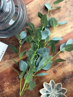 Eucalyptus gren - 100cm