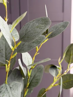 Eucalyptus gren med lys - 100cm