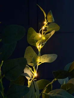 Eucalyptus gren med lys - 100cm