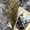 Evighedsbuket Natur mix