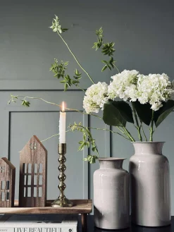 Hortensia Hvid
