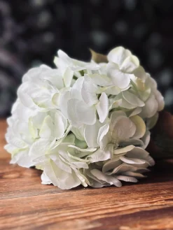 Hortensia Lime/hvid