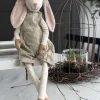 Kaniner 60cm