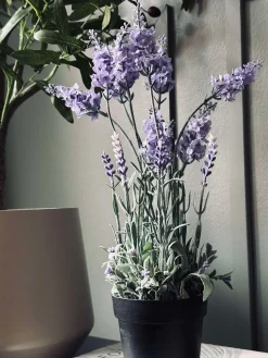 Lavendel 40cm - Lys lilla