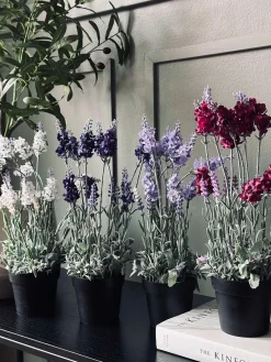 Lavendel 40cm - Mørk Lilla