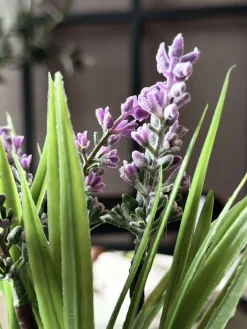 Lavendel moskugle