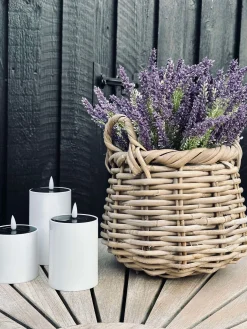 Lavendel på stilk