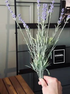 Lavendel på stilk