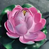 Lotus - Flere farver