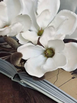 Magnoliagren - 92cm
