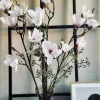Magnoliagren pink - 92cm