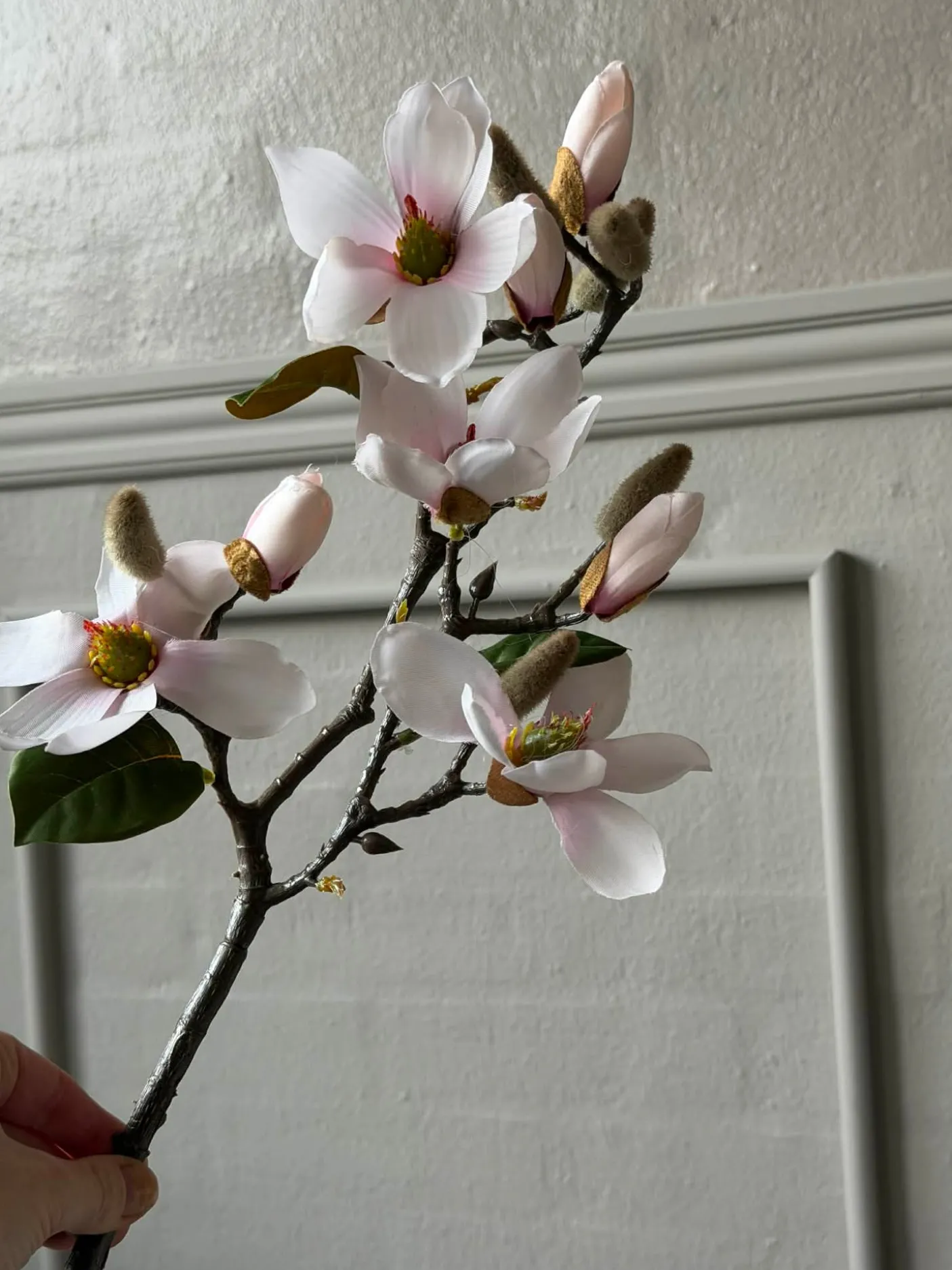 Magnoliagren - Pink 52cm