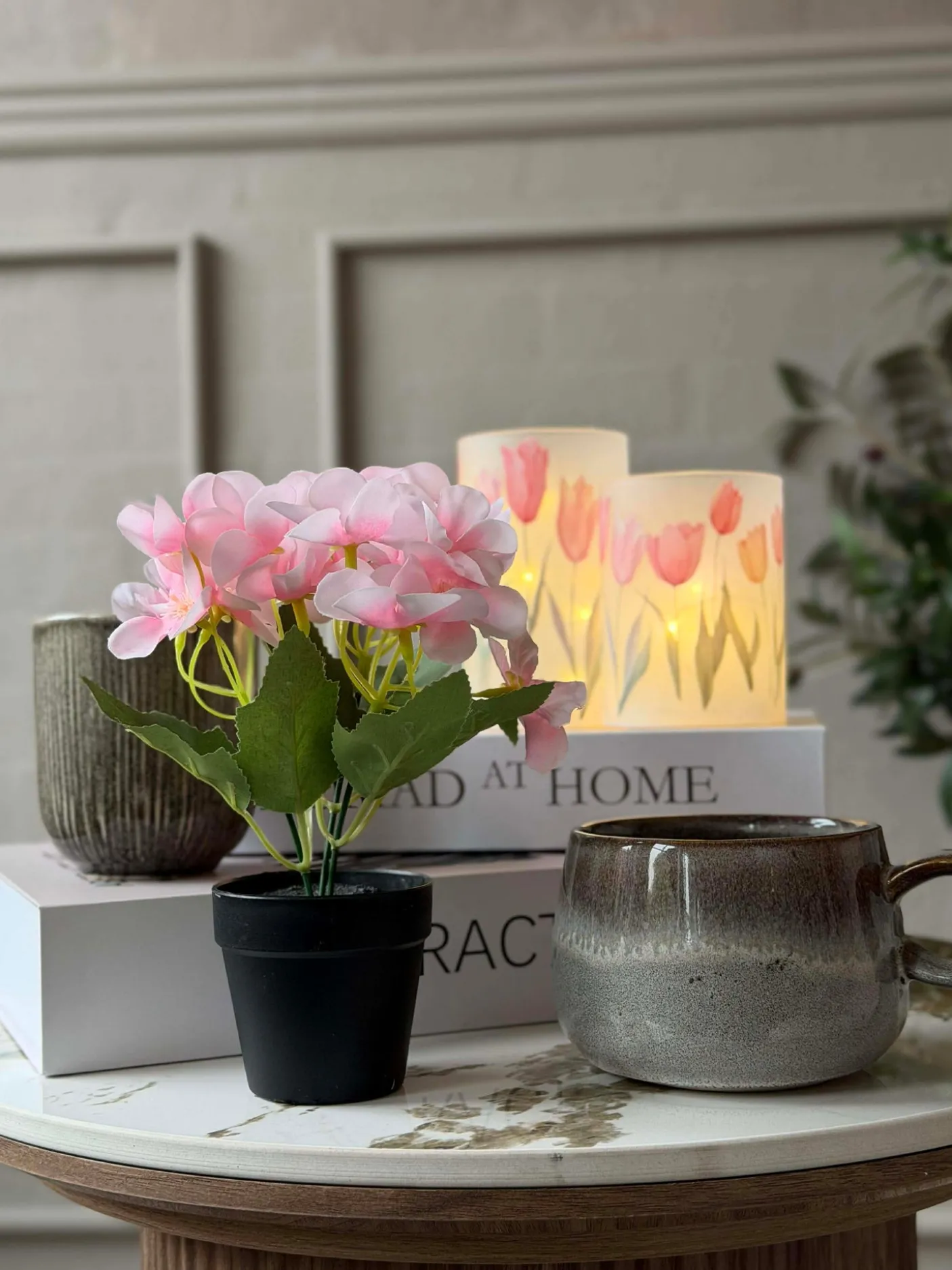 Mini hortensia i potte - flere farver