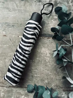 Paraply – Zebra