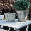 Plantekurv 15 cm