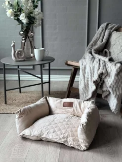 Sofa til kæledyr