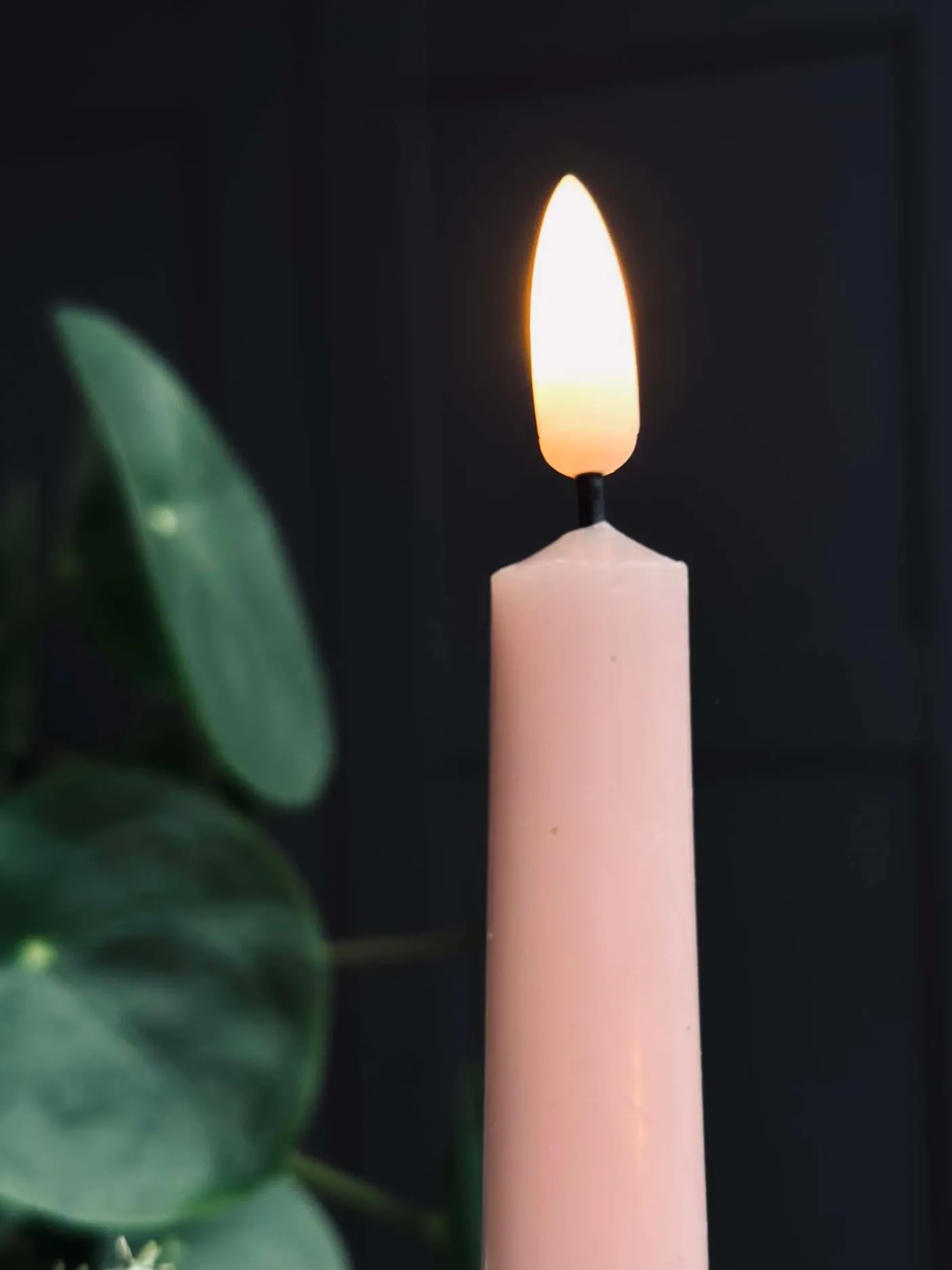 Stagelys / Sæt med 2 stk og fjernbetjening – Rosa 24 cm