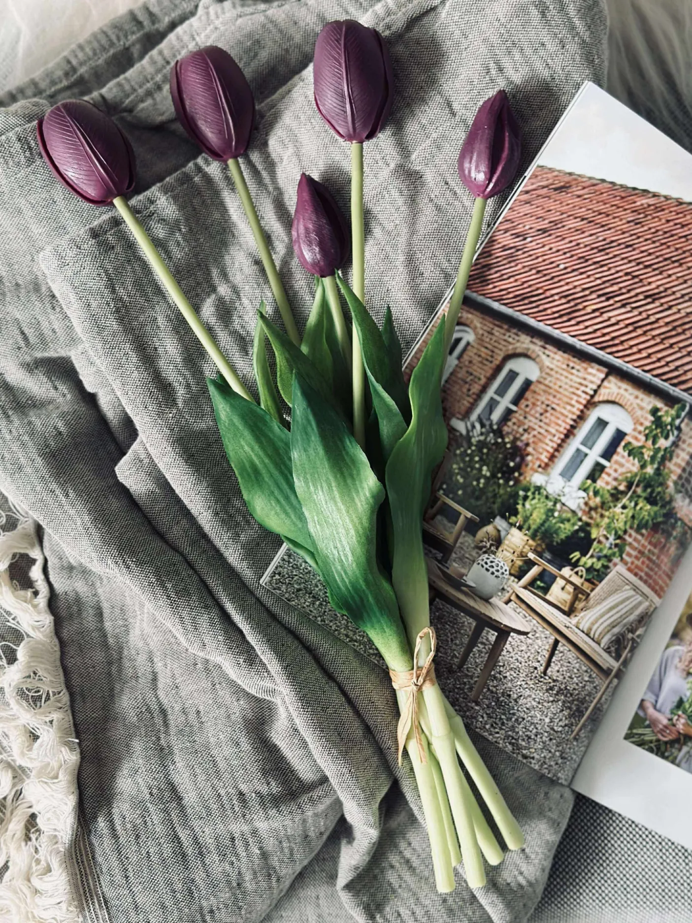 Tulipaner – Flere farver