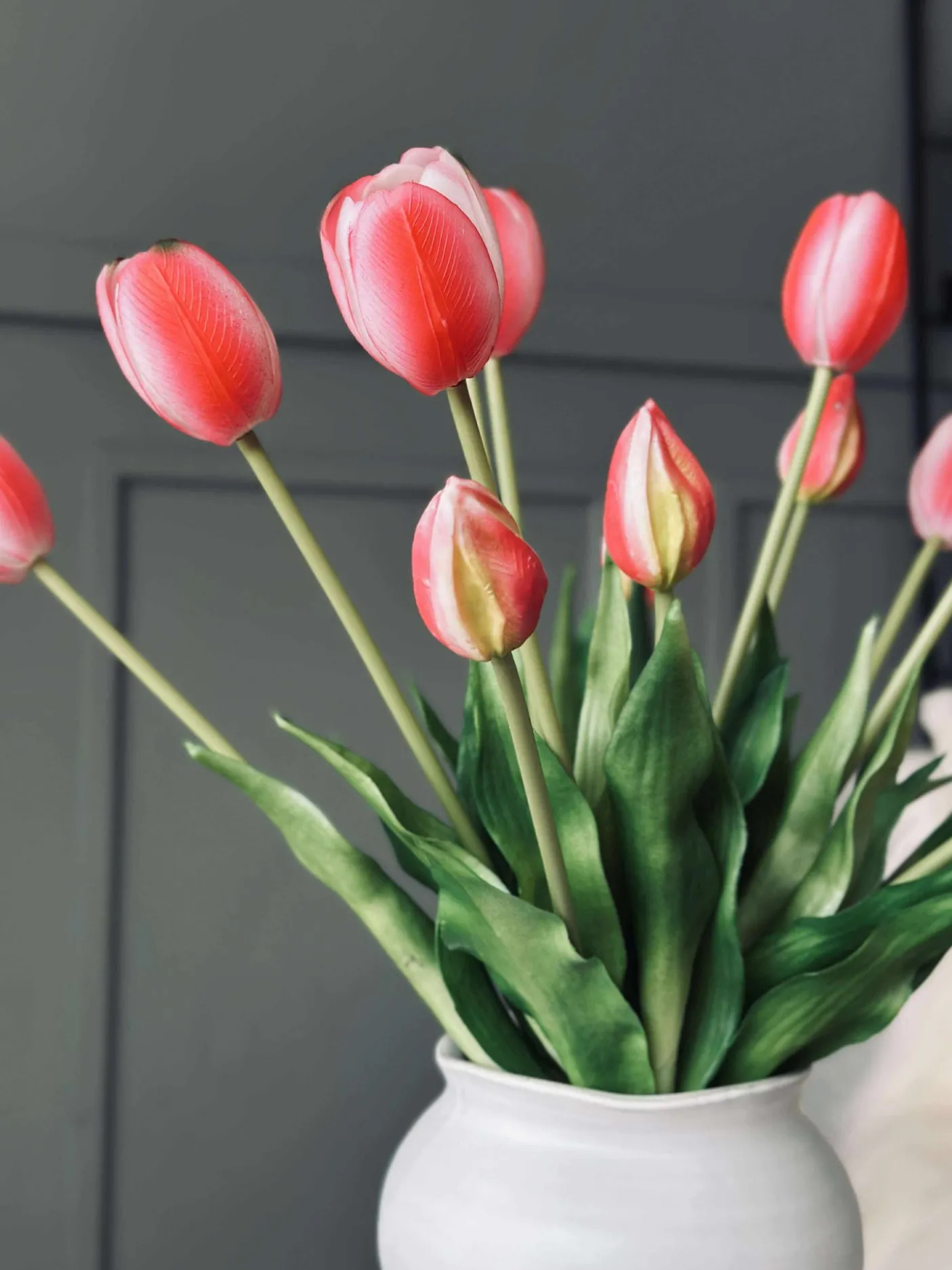 Tulipaner – Flere farver
