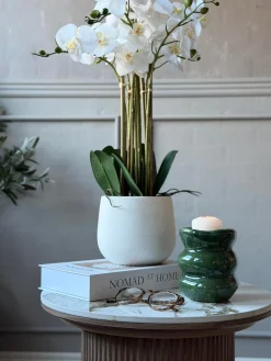 Vase Forest - Small