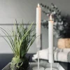 VIAMAJA Simple – White – Mellem
